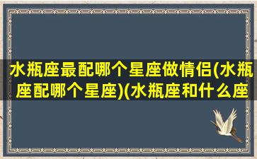 水瓶座最配哪个星座做情侣(水瓶座配哪个星座)(水瓶座和什么座是最佳情侣)