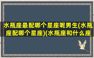 水瓶座最配哪个星座呢男生(水瓶座配哪个星座)(水瓶座和什么座最配对男)