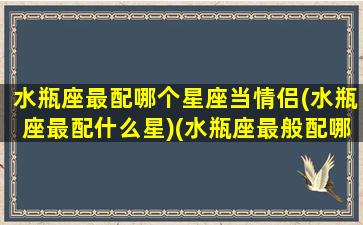 水瓶座最配哪个星座当情侣(水瓶座最配什么星)(水瓶座最般配哪个星座)