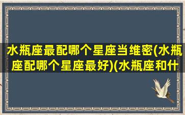 水瓶座最配哪个星座当维密(水瓶座配哪个星座最好)(水瓶座和什么星座配做闺蜜)