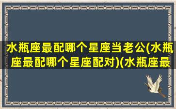水瓶座最配哪个星座当老公(水瓶座最配哪个星座配对)(水瓶座最般配哪个星座)
