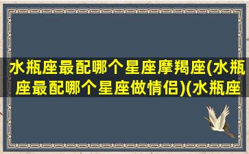 水瓶座最配哪个星座摩羯座(水瓶座最配哪个星座做情侣)(水瓶座配不配摩羯座)