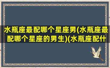 水瓶座最配哪个星座男(水瓶座最配哪个星座的男生)(水瓶座配什么星座的男生最合适)