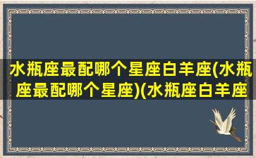 水瓶座最配哪个星座白羊座(水瓶座最配哪个星座)(水瓶座白羊座相配指数)