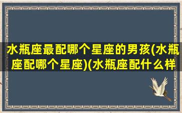 水瓶座最配哪个星座的男孩(水瓶座配哪个星座)(水瓶座配什么样的男朋友)