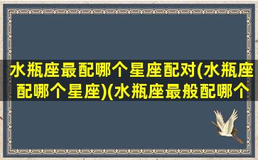 水瓶座最配哪个星座配对(水瓶座配哪个星座)(水瓶座最般配哪个星座)