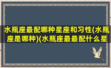 水瓶座最配哪种星座和习性(水瓶座是哪种)(水瓶座最最配什么星座)