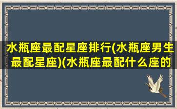 水瓶座最配星座排行(水瓶座男生最配星座)(水瓶座最配什么座的男生)