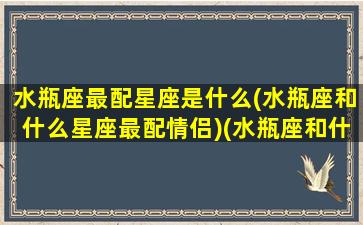 水瓶座最配星座是什么(水瓶座和什么星座最配情侣)(水瓶座和什么星座配对最好)