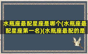 水瓶座最配星座是哪个(水瓶座最配星座第一名)(水瓶座最配的是什么座)