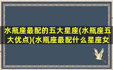 水瓶座最配的五大星座(水瓶座五大优点)(水瓶座最配什么星座女生)