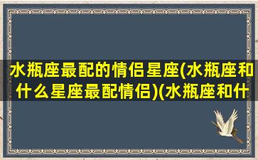 水瓶座最配的情侣星座(水瓶座和什么星座最配情侣)(水瓶座和什么星座是最佳情侣)