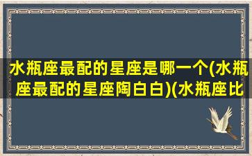水瓶座最配的星座是哪一个(水瓶座最配的星座陶白白)(水瓶座比较配什么星座)