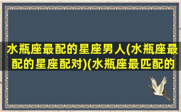 水瓶座最配的星座男人(水瓶座最配的星座配对)(水瓶座最匹配的星座男)