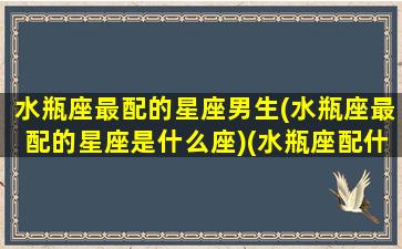 水瓶座最配的星座男生(水瓶座最配的星座是什么座)(水瓶座配什么星座的男生最合适)