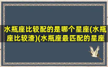 水瓶座比较配的是哪个星座(水瓶座比较渣)(水瓶座最匹配的星座是谁)