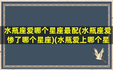 水瓶座爱哪个星座最配(水瓶座爱惨了哪个星座)(水瓶爱上哪个星座最痛苦)