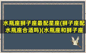 水瓶座狮子座最配星座(狮子座配水瓶座合适吗)(水瓶座和狮子座的匹配值)