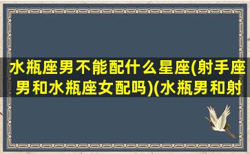 水瓶座男不能配什么星座(射手座男和水瓶座女配吗)(水瓶男和射手配对)