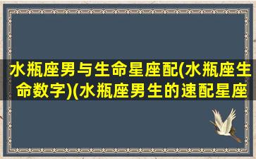 水瓶座男与生命星座配(水瓶座生命数字)(水瓶座男生的速配星座)