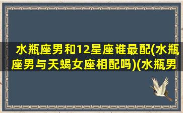 水瓶座男和12星座谁最配(水瓶座男与天蝎女座相配吗)(水瓶男和12星座配对指数)