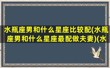 水瓶座男和什么星座比较配(水瓶座男和什么星座最配做夫妻)(水瓶座男与什么星座最配对)