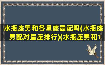 水瓶座男和各星座最配吗(水瓶座男配对星座排行)(水瓶座男和12星座配对指数)