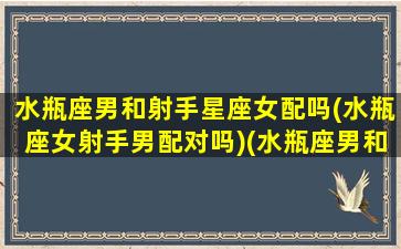 水瓶座男和射手星座女配吗(水瓶座女射手男配对吗)(水瓶座男和射手座女配对指数是多少)