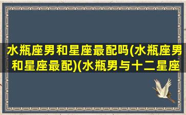 水瓶座男和星座最配吗(水瓶座男和星座最配)(水瓶男与十二星座的匹配指数)