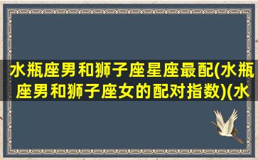 水瓶座男和狮子座星座最配(水瓶座男和狮子座女的配对指数)(水瓶座男和狮子座女合不合得来)