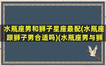 水瓶座男和狮子星座最配(水瓶座跟狮子男合适吗)(水瓶座男与狮子座男)