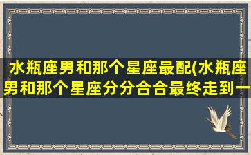 水瓶座男和那个星座最配(水瓶座男和那个星座分分合合最终走到一起)