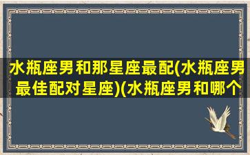 水瓶座男和那星座最配(水瓶座男最佳配对星座)(水瓶座男和哪个星座最匹配)