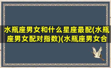 水瓶座男女和什么星座最配(水瓶座男女配对指数)(水瓶座男女合适吗)