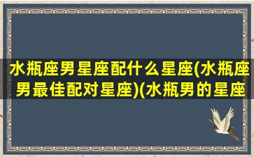 水瓶座男星座配什么星座(水瓶座男最佳配对星座)(水瓶男的星座配对)