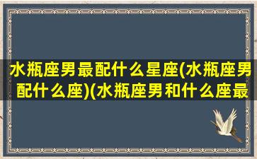 水瓶座男最配什么星座(水瓶座男配什么座)(水瓶座男和什么座最配夫妻)