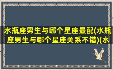 水瓶座男生与哪个星座最配(水瓶座男生与哪个星座关系不错)(水瓶座男和什么星座最配当情侣)