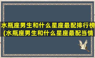 水瓶座男生和什么星座最配排行榜(水瓶座男生和什么星座最配当情侣)