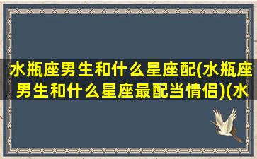 水瓶座男生和什么星座配(水瓶座男生和什么星座最配当情侣)(水瓶座男和什么星座最合适)