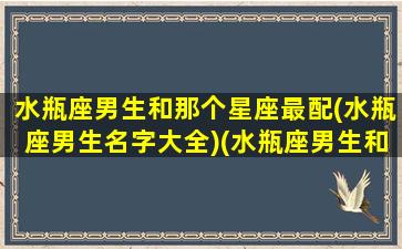 水瓶座男生和那个星座最配(水瓶座男生名字大全)(水瓶座男生和哪个星座最般配)