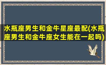 水瓶座男生和金牛星座最配(水瓶座男生和金牛座女生能在一起吗)(水瓶男和金牛星座最配对)