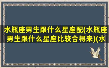 水瓶座男生跟什么星座配(水瓶座男生跟什么星座比较合得来)(水瓶座男与什么星座合适)