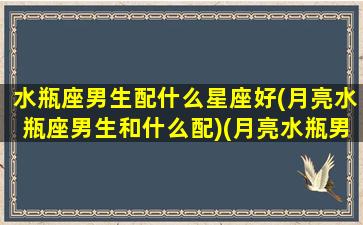 水瓶座男生配什么星座好(月亮水瓶座男生和什么配)(月亮水瓶男的另一半)