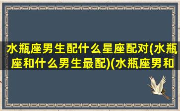 水瓶座男生配什么星座配对(水瓶座和什么男生最配)(水瓶座男和什么星座配对合适)