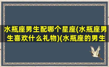 水瓶座男生配哪个星座(水瓶座男生喜欢什么礼物)(水瓶座的男生配什么)