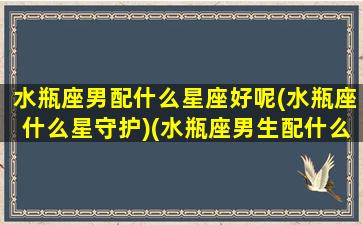 水瓶座男配什么星座好呢(水瓶座什么星守护)(水瓶座男生配什么星座最好)