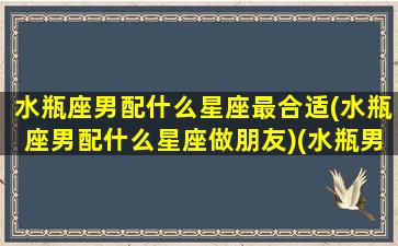 水瓶座男配什么星座最合适(水瓶座男配什么星座做朋友)(水瓶男座配什么星座女生)