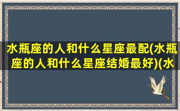 水瓶座的人和什么星座最配(水瓶座的人和什么星座结婚最好)(水瓶座和什么星座在一起最幸福)