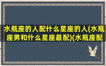 水瓶座的人配什么星座的人(水瓶座男和什么星座最配)(水瓶座配什么星座的男生最合适)