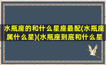 水瓶座的和什么星座最配(水瓶座属什么星)(水瓶座到底和什么星座最配)